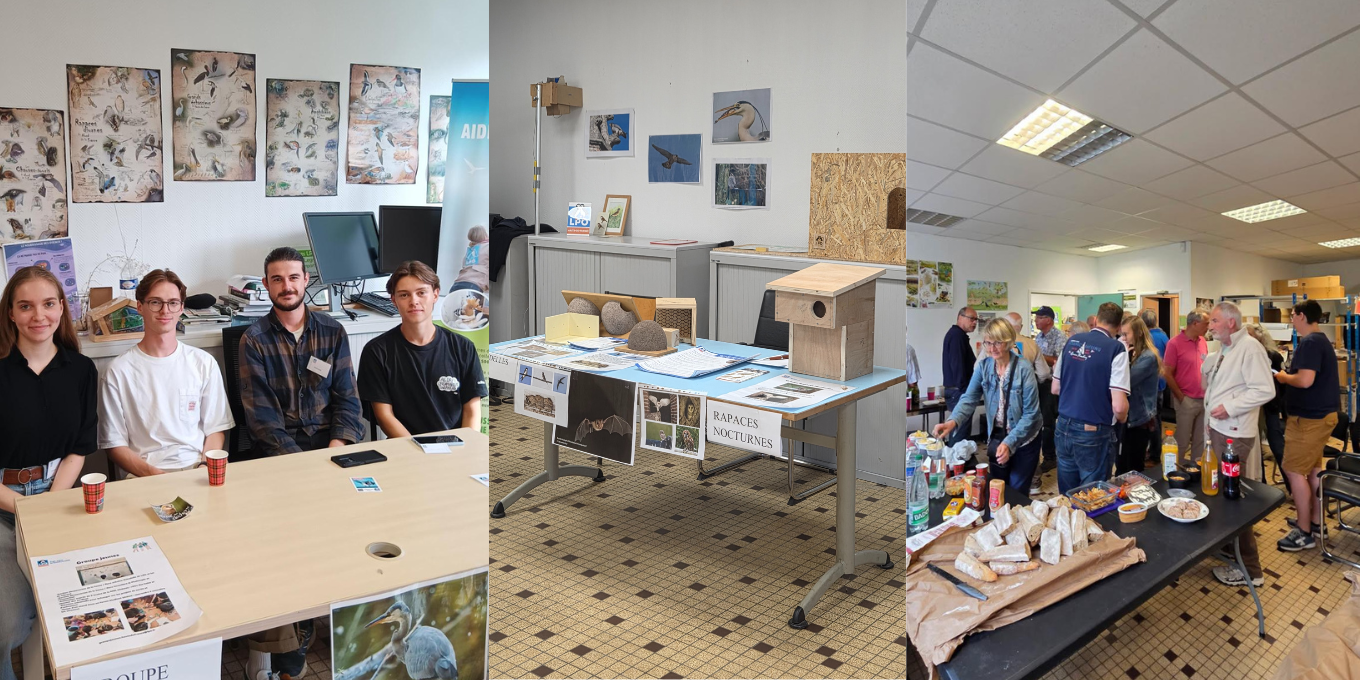 Journée Découverte du bénévolat à Lille : un beau succès !